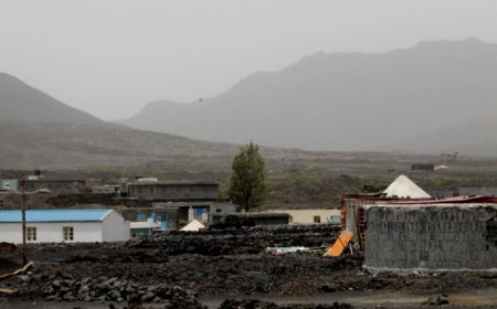 Fogo/Retrospectiva: Manifestação dos agricultores e regresso da gestão de água à Águbrava marcaram a agricultura