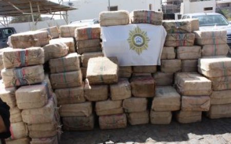 Mega operação de busca no cargueiro no Porto da Praia: Polícia Judiciária confirma apreensão de cerca de 10 toneladas de droga