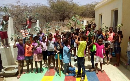 Brava: EBNSM entrega projecto para a 2ª edição do concurso Selo de Qualidade em Educação