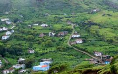 Ilha Brava: Clube do Benfica faz abertura oficial da sua escola de iniciação de futebol