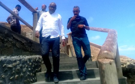 Brava: Presidente do parlamento conclui sua visita à ilha com sentimento de dever cumprido