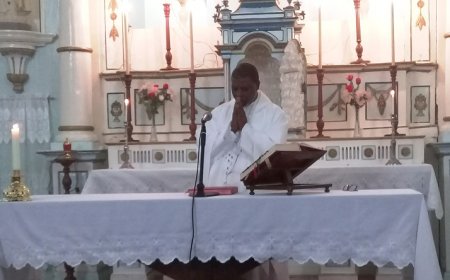 Brava: “Papa Francisco está dando orientações claras para sairmos da igreja e irmos para a periferia” – Frei Paulino