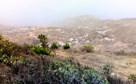 Brava: É necessário “mais envolvimento” na protecção da biodiversidade e do ambiente – biólogo