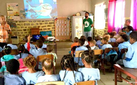 Brava: População de Cachaço sensibilizada no sentido de evitar criação de animais à solta