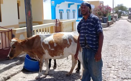 Brava: População de Cachaço preocupada com escassez de água