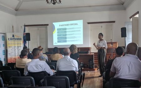 Brava: Questão do transporte de mercadorias é considerada o “maior calcanhar de Aquiles” para os empresários