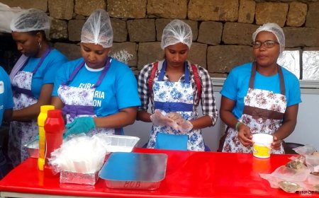 Brava/Festas do Município: Jovens conhecem os mecanismos de inserção laboral e de questão de género na formação profissional