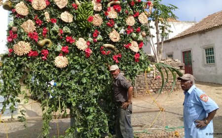 Brava: Henrique de Pina há 63 anos veste o “Mastro” das festas de Santo António, São João e São Pedro
