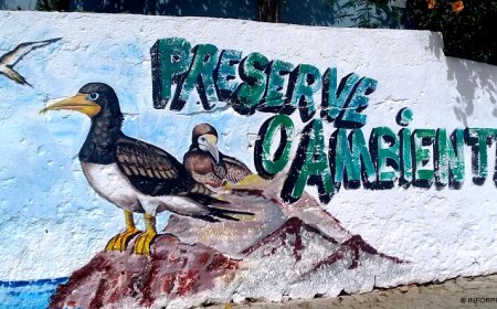 Brava: Delegação do MAA sensibiliza bravenses sobre importância da biodiversidade através de pinturas rurais