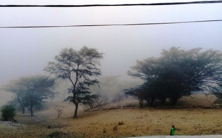 Brava: Agricultores e criadores de Cachaço esperançosos com sinais da natureza