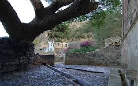 Fonte de Vinagre - A visão será de uma paisagem cheia de vegetação, flores e árvores de fruta - Antonio Varela