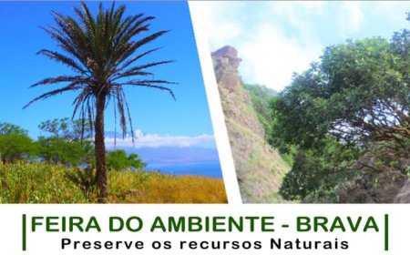 Brava: Localidade de Furna acolhe primeira feira de ambiente da ilha