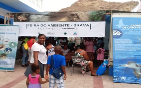 Brava: Sucesso da primeira Feira do Ambiente abre portas para novos métodos de sensibilização – técnica do ambiente