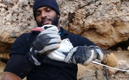 Brava: Director do Projecto Vitó classifica visita do ministro de “reconhecimento” pelo trabalho feito