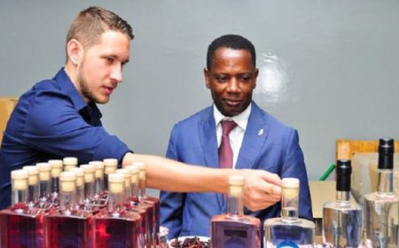 Presidência da República: Chefe da Casa Civil critica ministro das Finanças por ter promovido uma marca de bebidas alcoólicas