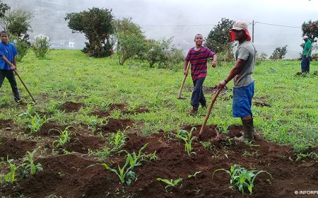 Brava: Agricultores “satisfeitos” com as chuvas caídas, mas de olhos postos nas de Outubro