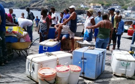Brava: Mercadorias ficam em terra – peixeiras de Furna indignadas