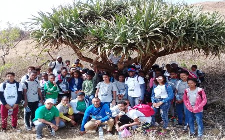 Brava: Project for the Conservation of Endemic Plants on Brava Island aims to work on environmental education