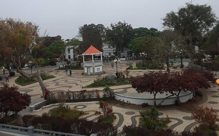 Brava: Doctors from the “Project Health for Cape Verde” provide consultations for three days on the island