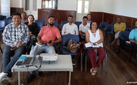 Brava: Rede Emprego e Empregabilidade planeia próxima fase de projecto