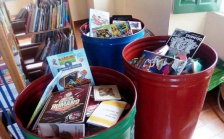 Brava: Responsible for the project “Brava'sLittle Libraries” initiates contacts for partnerships