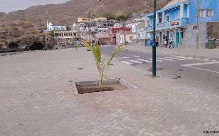 Brava: Municipality intends to have all houses in Furna equipped with bathrooms by March 2020