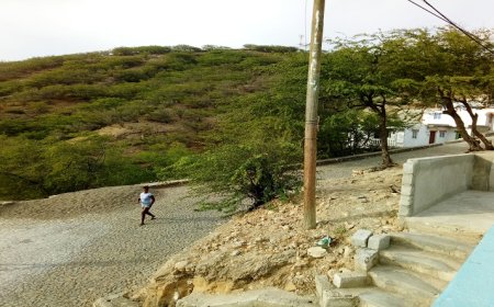 Brava: Population of Lomba Tantum sensitized by the data presented by a diagnostic study