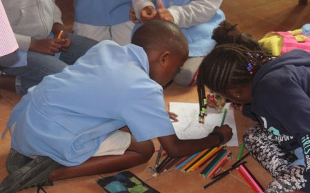 Brava: Projecto de conservação das plantas endémicas na ilha Brava inicia segunda fase