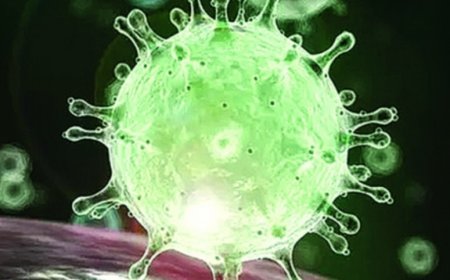 Covid-19: 31 more infected in Santiago and Sal bring the total in Cape Verde to 1,623 cases