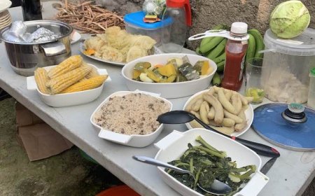 Bravenses voltam a festejar “Todos os Santos” com pujança graças ao “bom ano agrícola”