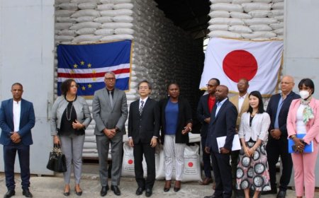 Cape Verde receives food aid from Japan