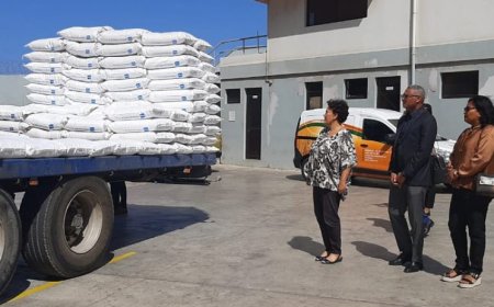 Government enters into agreement with MOAVE to lower bag price of flour and protect Cape Verdean families