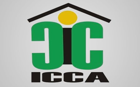 Brava: Forças vivas reúnem-se para a criação do Comité Municipal da Defesa dos Direitos das Crianças e Adolescentes