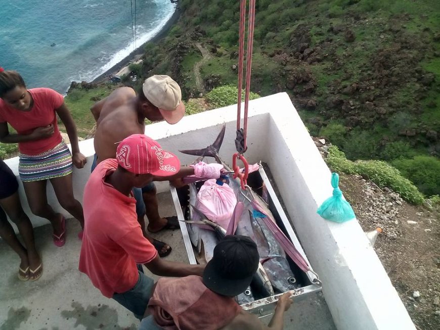 Teleférico ja transportou mais de 27 toneladas de pescado