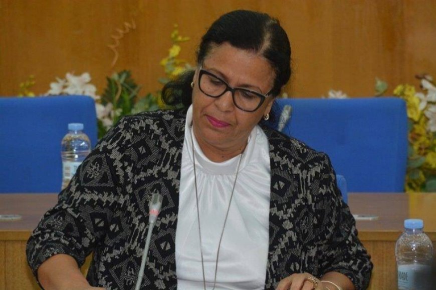 Manuais. Ministra anuncia inquérito para apurar responsabilidades, mas os livros ficam