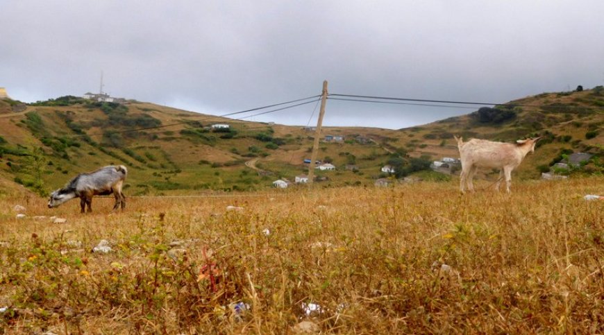 Brava: Agricultores de Tomé Barras pedem urgência nas medidas de resposta à seca