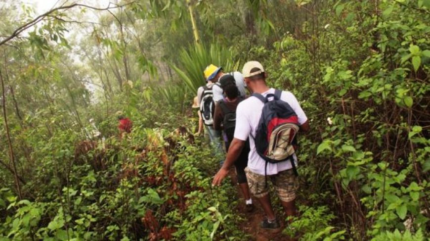 Assalto com violência na Serra de Malagueta: Turista australiano agredido à facada e perde três dedos