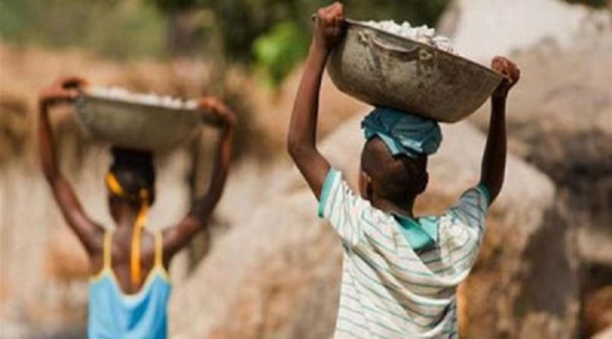 Programa conjunto do ICCA e Unicef de protecção da criança em Cabo Verde apresentado às plataformas da região Fogo e Brava