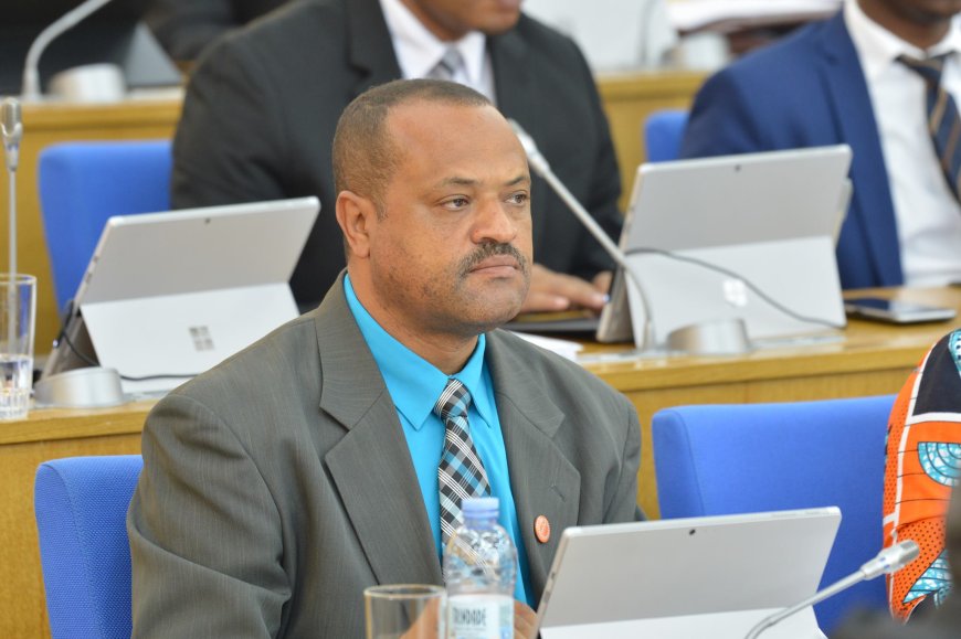 David Lima Gomes interve no parlamento, registando o nivel de crescimento da ilha Brava, mas tambem falou dos problemas que afligem a ilha