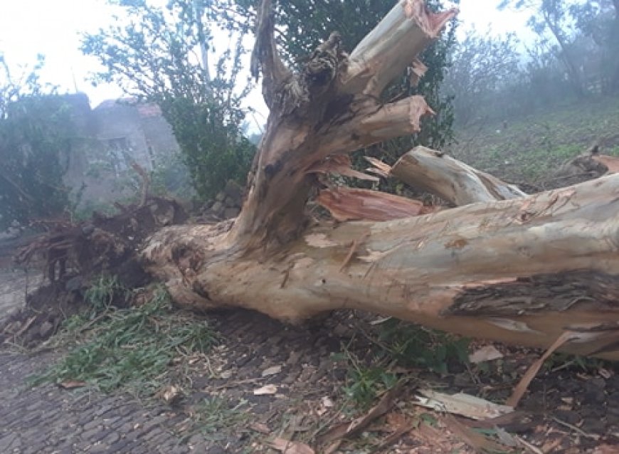 Brava: “Helene” provoca queda de arvores, antenas...