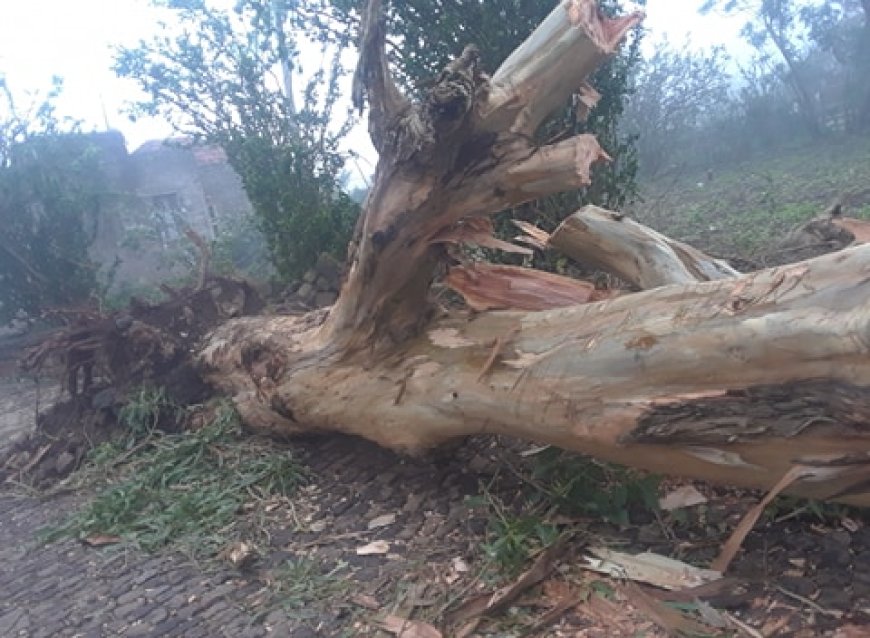 Tempestade tropical “Helene” faz estragos “pouco significativos” em Santiago, Fogo e Brava