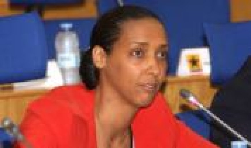 Líder da oposição visita EUA: Janira Hopffer Almada vai abordar os desafios mundiais e da África na reunião da Internacional Socialista