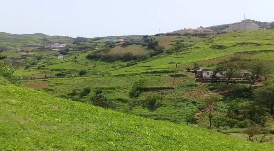 Ilha da Brava: Condutores pedem melhores condições para a estrada de Nossa Senhora do Monte