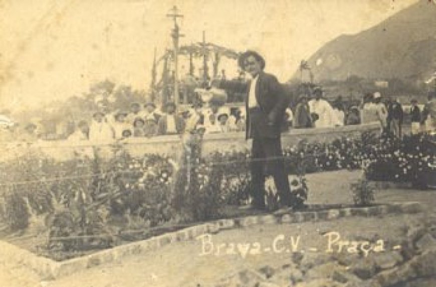 Eugenio Tavares cuidando das flores na Praca de Nova Sintra