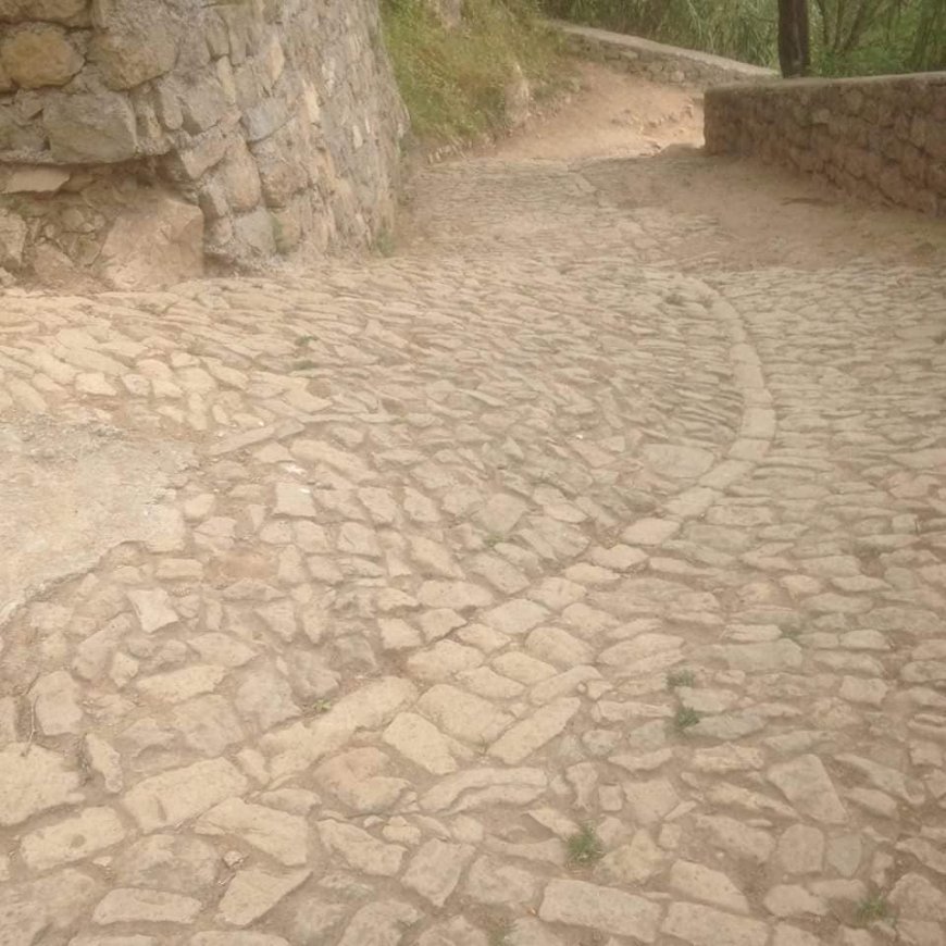 Factos: Trabalho de limpeza e manutenção da rua de BALEIA e do caminho vicinal MATO GRANDE - BALEIA.