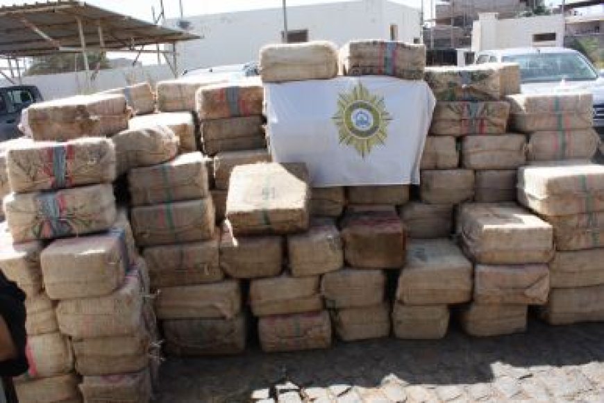 Mega operação de busca no cargueiro no Porto da Praia: Polícia Judiciária confirma apreensão de cerca de 10 toneladas de droga