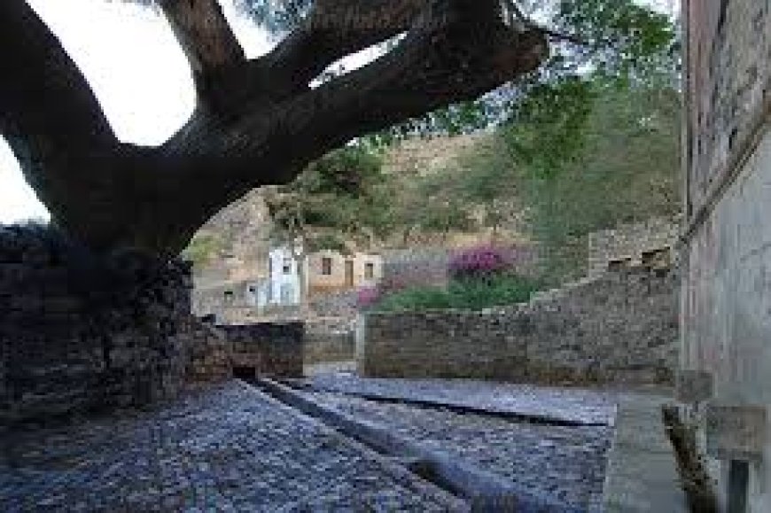 Fonte de Vinagre - A visão será de uma paisagem cheia de vegetação, flores e árvores de fruta - Antonio Varela