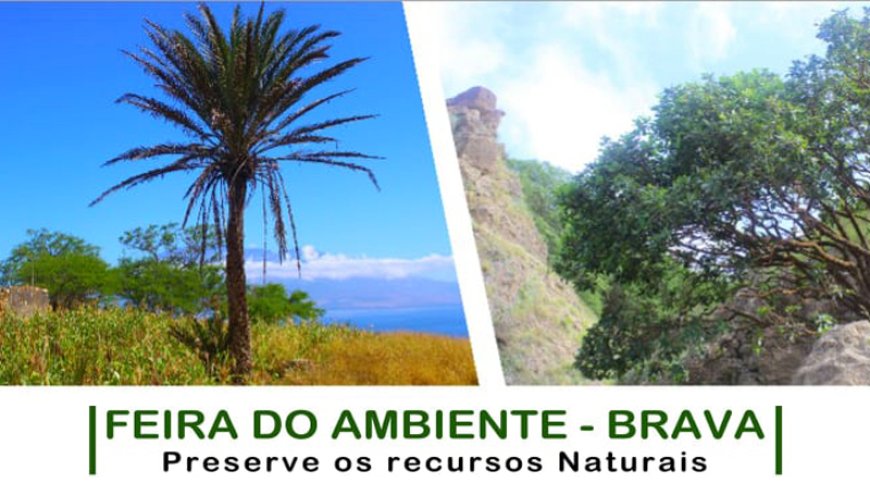 Brava: Localidade de Furna acolhe primeira feira de ambiente da ilha