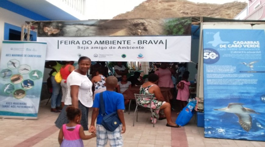 Brava: Sucesso da primeira Feira do Ambiente abre portas para novos métodos de sensibilização – técnica do ambiente