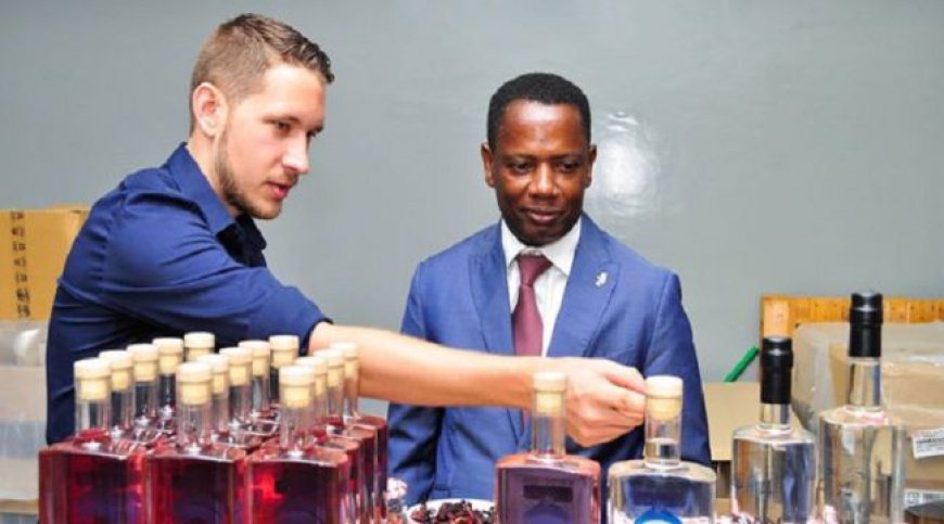 Presidência da República: Chefe da Casa Civil critica ministro das Finanças por ter promovido uma marca de bebidas alcoólicas